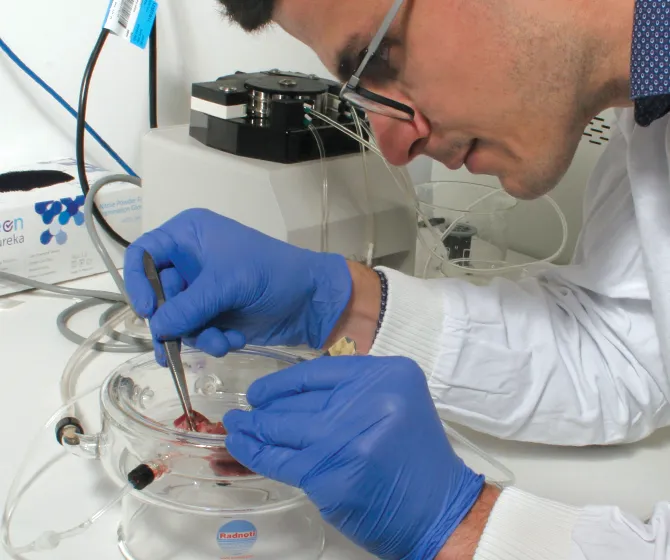 Three benefits of isolated organ research